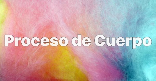 Proceso de Cuerpo de Access